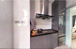 Tanglin Regency (D10), Condominium #612495601